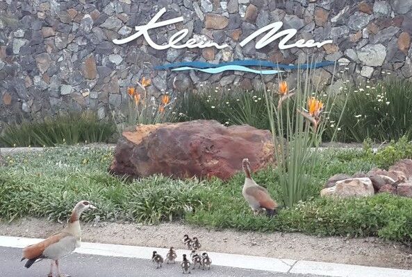 Klein Meer Lifestyle Security Estate