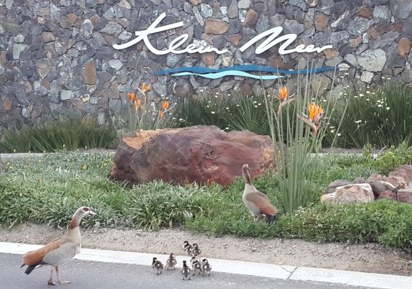 Klein Meer Lifestyle Security Estate