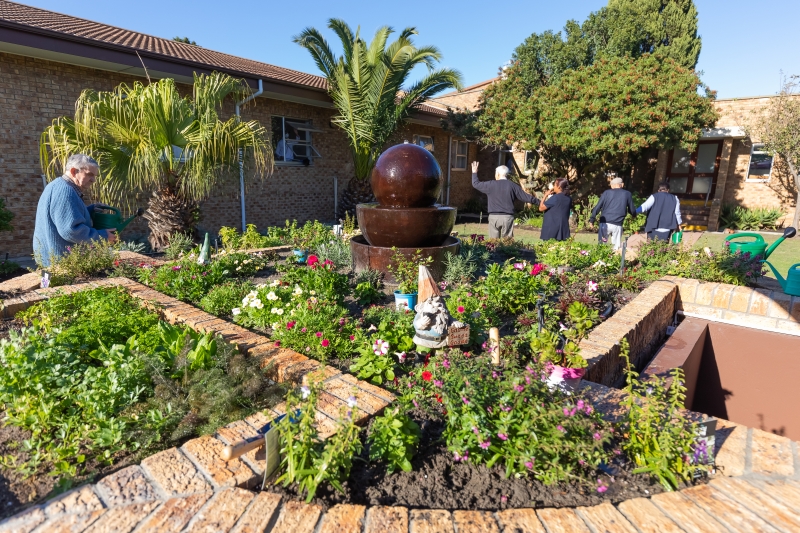 Panorama Palms – Cape